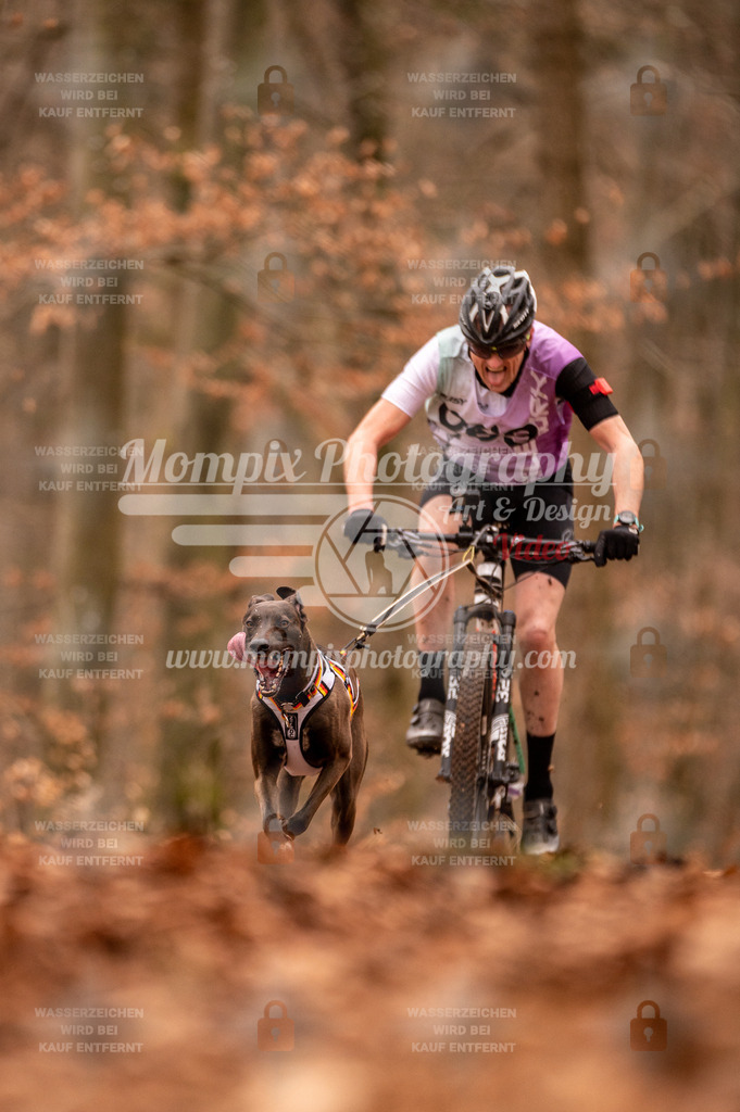 AKM_ST_2023_Son_Bike-28 | PayLife