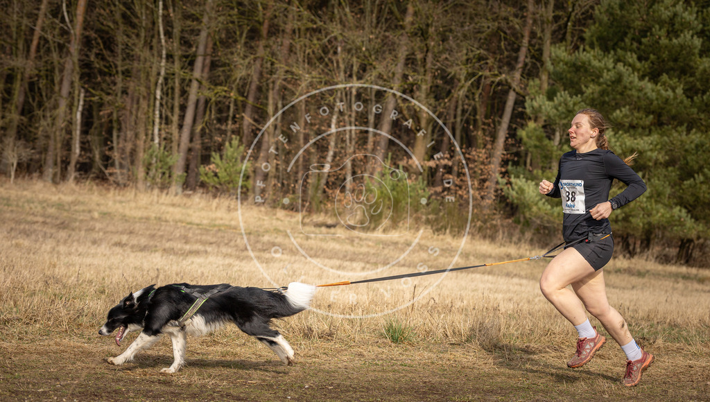 DV3A3901 | Hundefotografie, Tierfotograf, Pfotenfotografie, Fotoshooting Hund, Hunde Portrait, Hundesport, Hundeportraits, Heideshooting, Hunde, Sportfotograf, Hundefotograf, Turnierhundsport, THS,  - Realisiert mit Pictrs.com