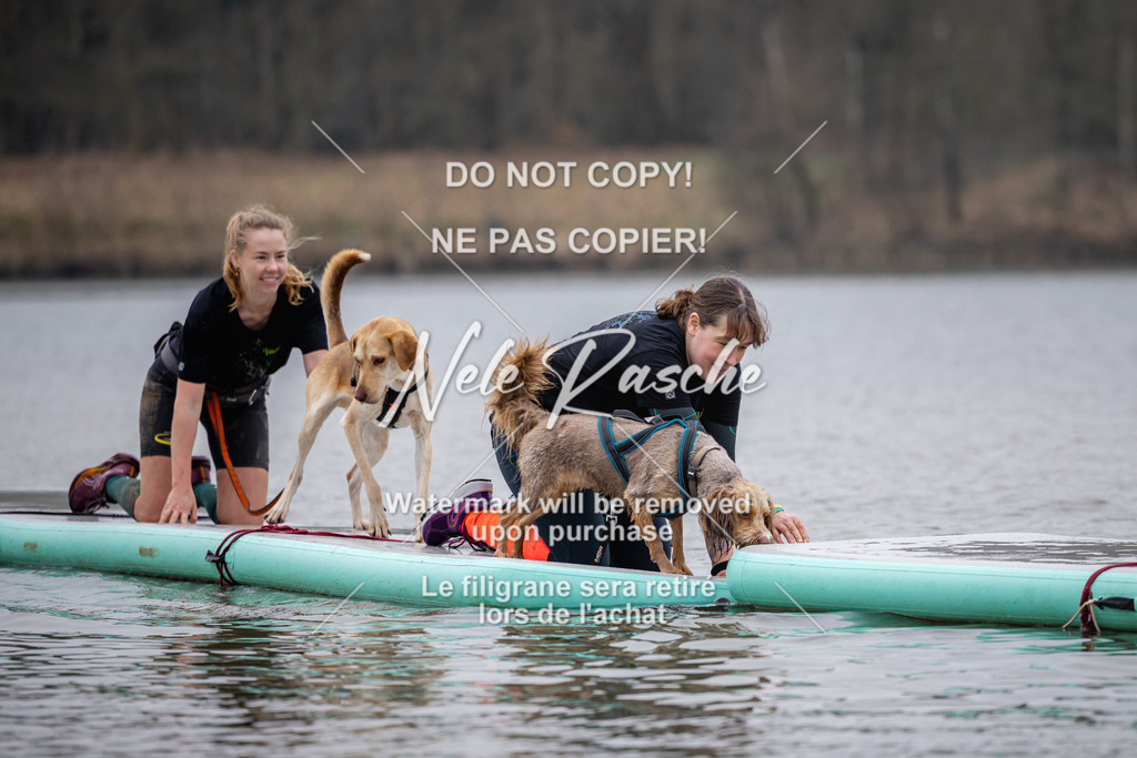 nelerasche_Hulsbeek_Sa1515-1600_84 | nelerasche