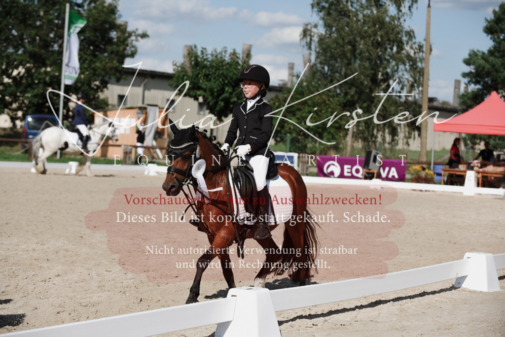 DSC_0242 | Pferde- und Turnierfotografie in Westsachsen. Pferdeportraits, Auftragszeichnungen und intuitive Kunst.