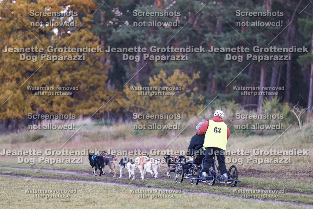 Dog Paparazzi - Elsholz 25 -8 | Dog Paparazzi Jeanette Grottendiek Fotografie & Videografie - Realisiert mit Pictrs.com