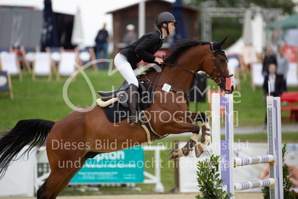 230729_BHO_Springprf.-A2006 | Deine schönsten Turniermomente als professionelle Fotos! Entdecke hochwertige Pferdesport-Fotografie im Online-Shop. Jetzt Fotos finden & bestellen!