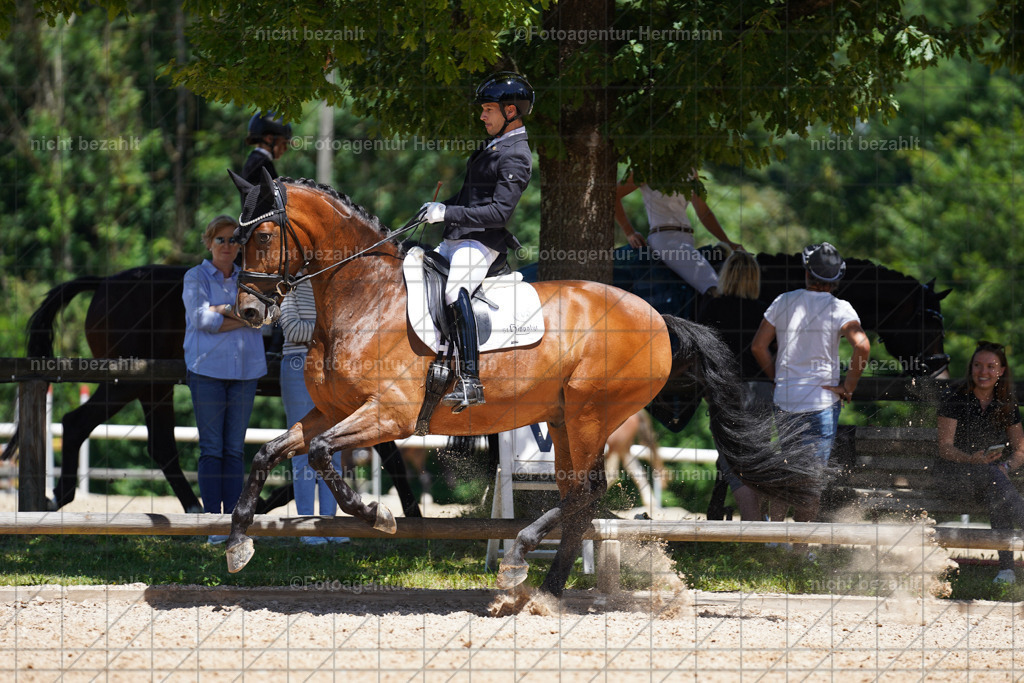 20240705-FAH03792 | Turnierbilder von Grafing, Reitsportbilder, Turnierfotos, Turnierfotografen Bayern, Pferdefotograf, Fotoagentur Herrmann