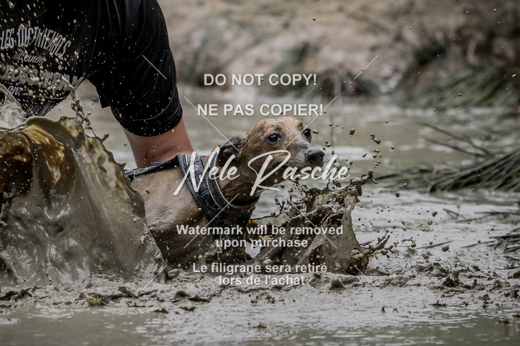 nelerasche_1400-1445_94 | nelerasche