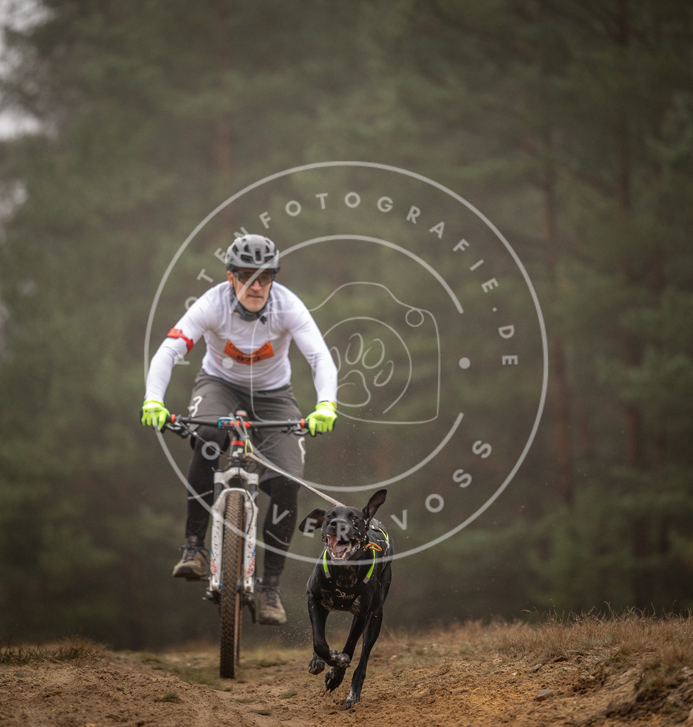 Pfotenfotografie_DV3A2610 | Hundefotografie, Tierfotograf, Pfotenfotografie, Fotoshooting Hund, Hunde Portrait, Hundesport, Hundeportraits, Heideshooting, Hunde, Sportfotograf, Hundefotograf, Turnierhundsport, THS,  - Realisiert mit Pictrs.com
