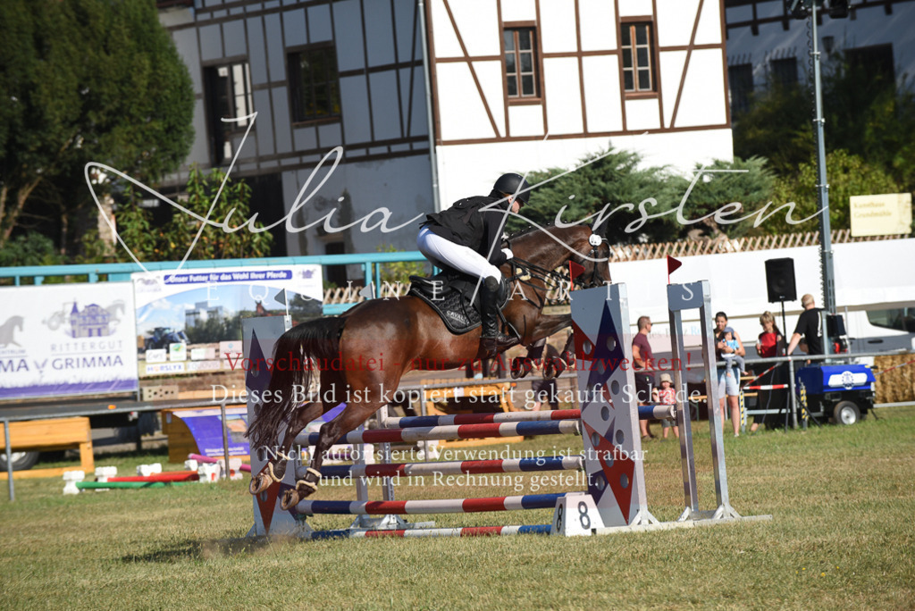 DSC_5370 | Pferde- und Turnierfotografie in Westsachsen. Pferdeportraits, Auftragszeichnungen und intuitive Kunst.