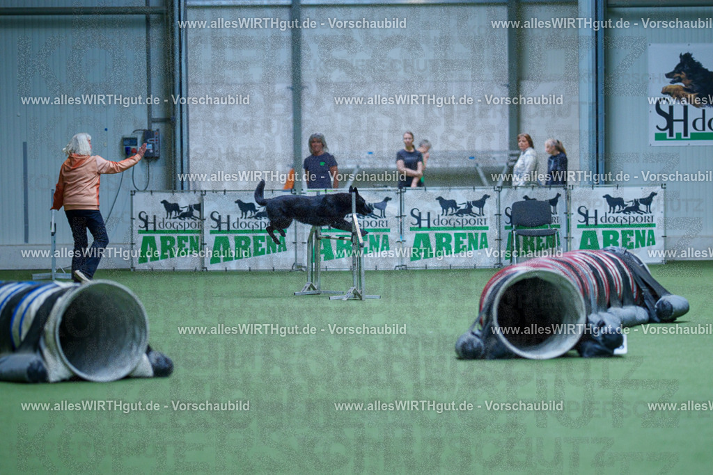 @allesWIRTHgut_Tierfotografie - www.allesWIRTHgut.de - 2604251432-7R504923 | Professionelle Tierfotografie in Mönchengladbach von Daniel Wirth (allesWIRTHgut). Liebevolle & natürliche Bilder von Hunden & Katzen für unvergessliche Erinnerungen.