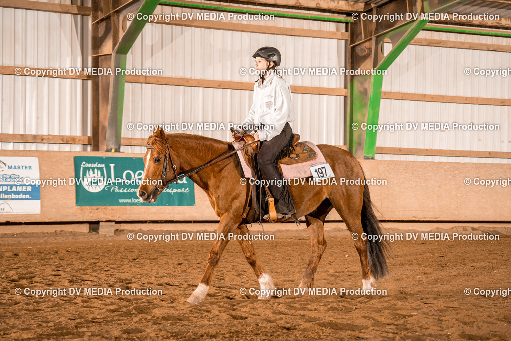 BAL03081 | dv-media-shop - Realisiert mit Pictrs.com