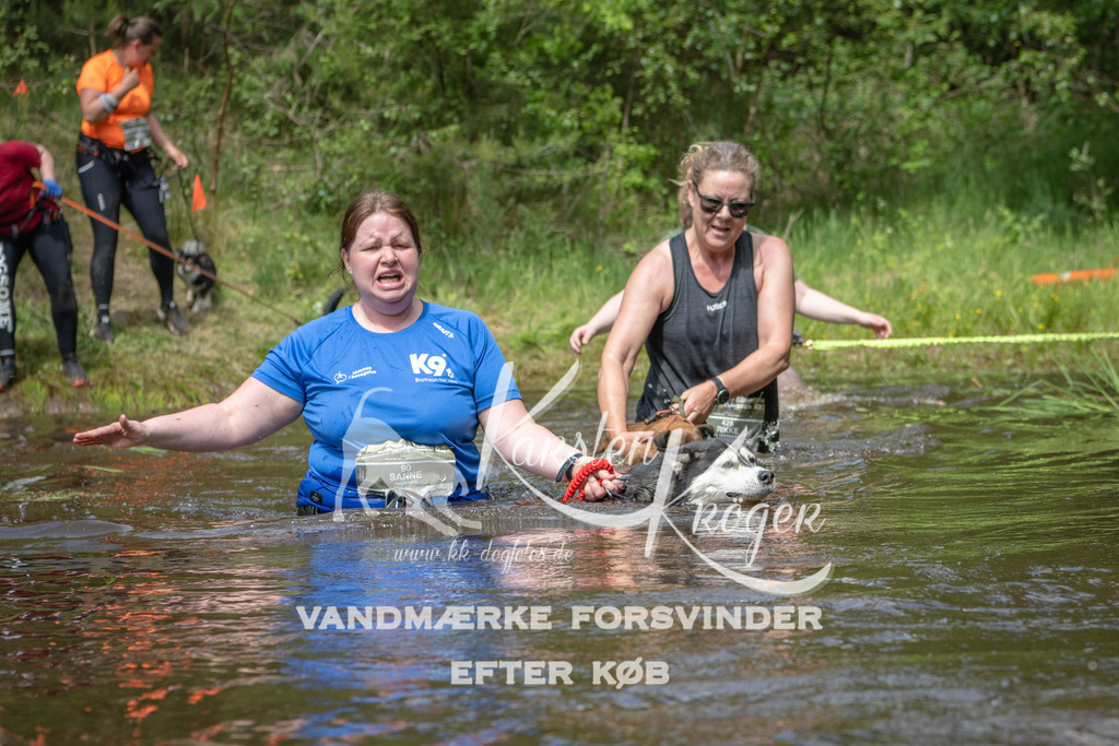 1224DKK992745 | kk-dogfotos