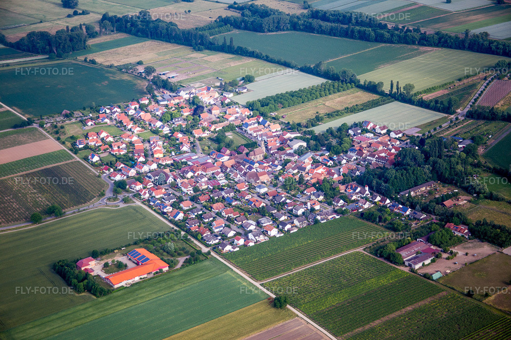 Luftbild: landwirtschaftlichen Feldern und Nutzflächen in Großfischlingen im Bundesland Rheinland-Pfalz in Deutschland. Foto: IMG_080936.jpg vom 14.06.2015 durch Werner Riehm/FLY-FOTO.de