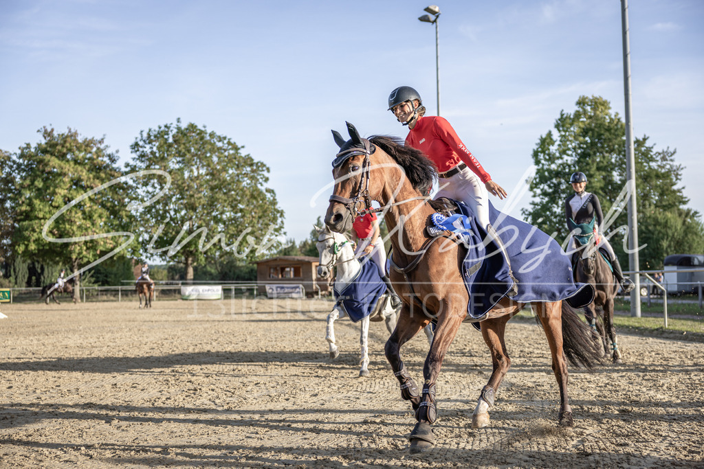 20250907-_3LI4982 | Tierfotografie Pferde, Hunde, Katzen, Haustiere.
Turnierfotografie Reitturniere, Reiten, Springreiten, Dressur in Hanau, dem Main-Kinzig-Kreis und dem Rhein-Main- Gebiet um Frankfurt