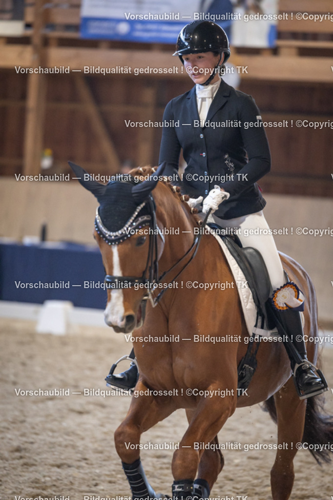 _D5A2039 | Emotionale Pferde- & People-Fotografie rund um Heidelberg, Leimen & Umgebung. Natürliche Fotos von Pferd, Mensch & Familie. Jetzt Termin sichern!