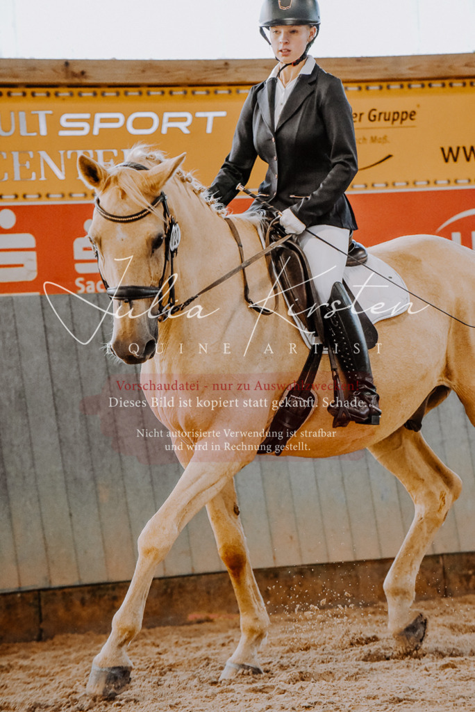 DSC_7665 | Pferde- und Turnierfotografie in Westsachsen. Pferdeportraits, Auftragszeichnungen und intuitive Kunst.