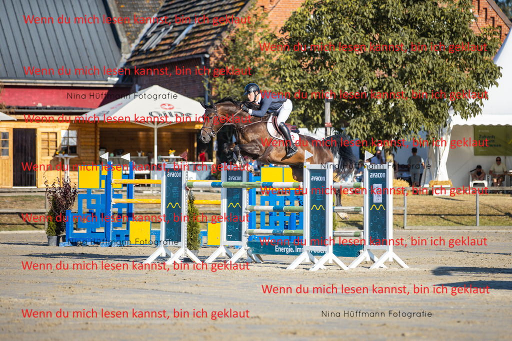 BK1A8784 | Turnierbilder Turnierfotos Nina Hüffmann Turnierfotografie Pferdefotografie Tierzeichnung Haustierzeichnung Pferdezeichnung Hundezeichnung Videograf  - Realisiert mit Pictrs.com