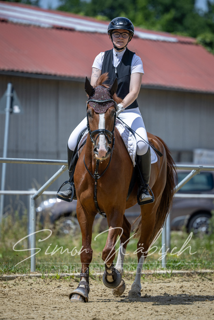 20260704-_3LI8738 | Tierfotografie Pferde, Hunde, Katzen, Haustiere.
Turnierfotografie Reitturniere, Reiten, Springreiten, Dressur in Hanau, dem Main-Kinzig-Kreis und dem Rhein-Main- Gebiet um Frankfurt