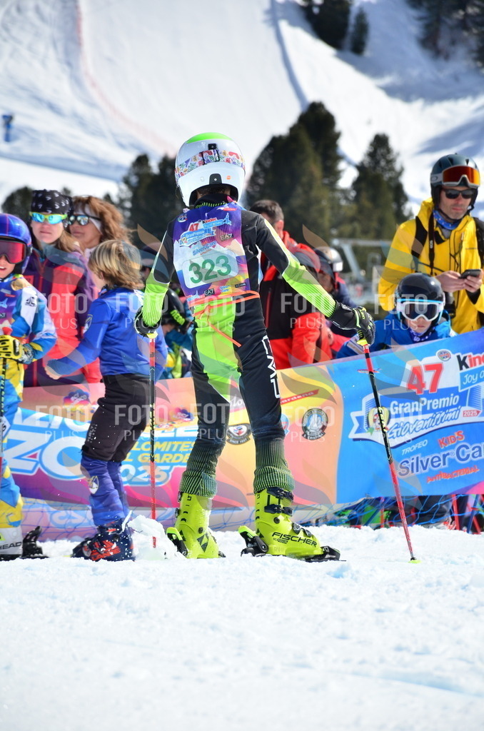 SLV_7688 | holidayphoto