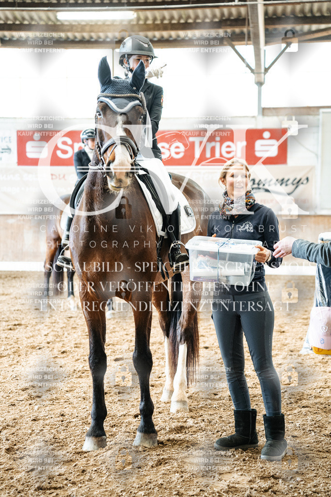 CK703133 | Turnierfotografie Pferdefotografie Trier Rheinland-Pfalz Pferdesport Reitsport Tierfotografie Sportfotografie Pferdevideo Pferdevideografie Equestrianvideography equestrianphotography  - Realisiert mit Pictrs.com