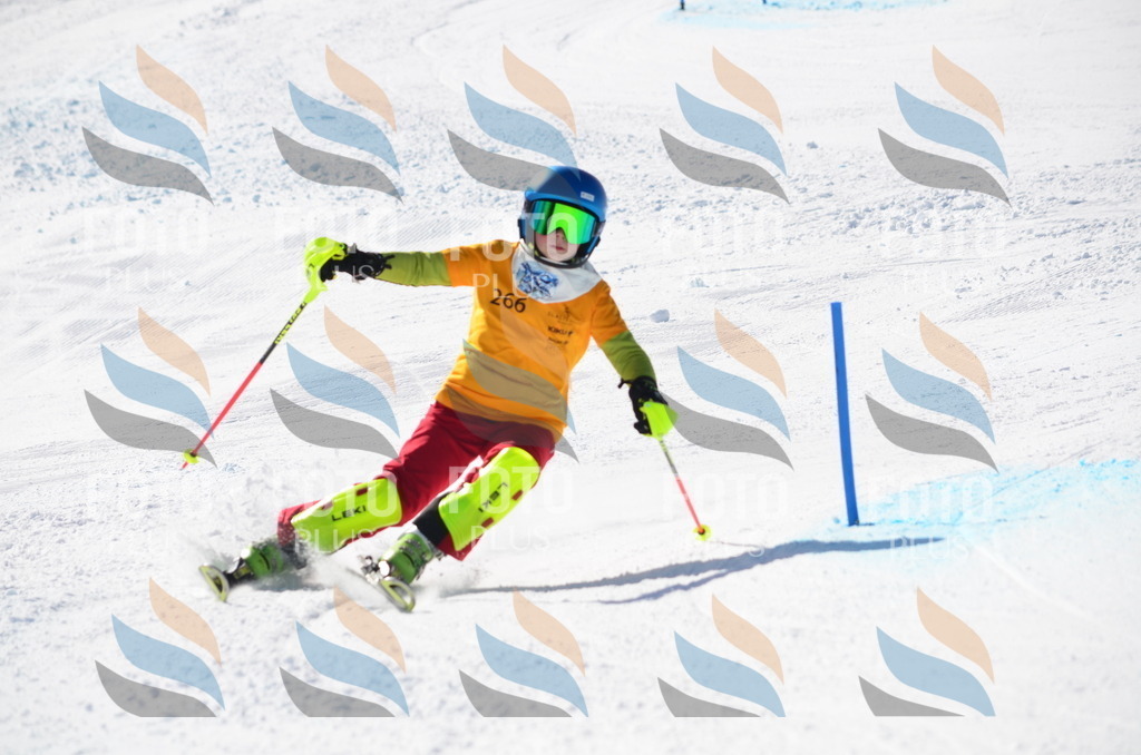 C8556 | holidayphoto