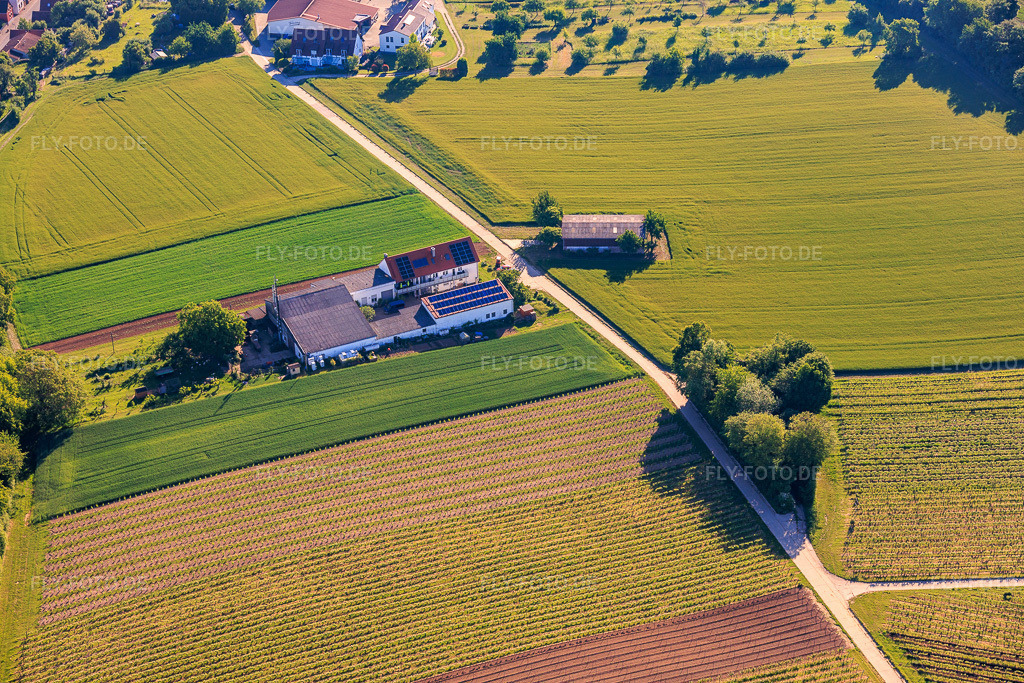 Luftbild: Kehler Hof im Ortsteil Ingenheim in Billigheim-Ingenheim im Bundesland Rheinland-Pfalz in Deutschland.Foto: IMG_156837.jpg vom 23.05.2026 durch Werner Riehm/FLY-FOTO.deAuflösung des Originals: 6000 x 4000 px