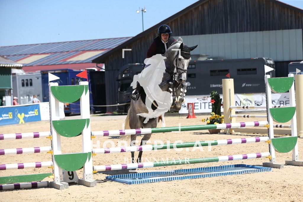 DL2Q9412 | Willkommen bei Brunnmayr - Design & Fotografie – Ihrem Spezialisten für Reitturniere und Pferdeveranstaltungen in Oberösterreich, Salzburg und Bayern! Seit über 17 Jahren sind wir leidenschaftlich dabei.