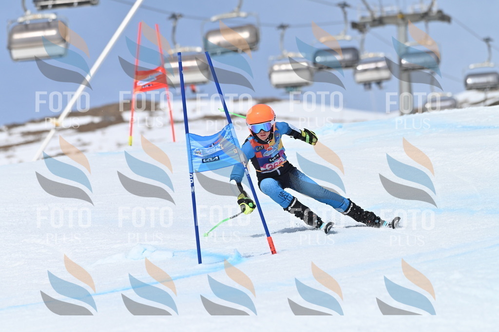 BGV_3955 | holidayphoto