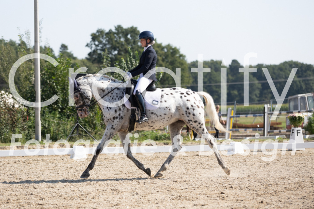 IMG_4696 | Creatify Fotografie