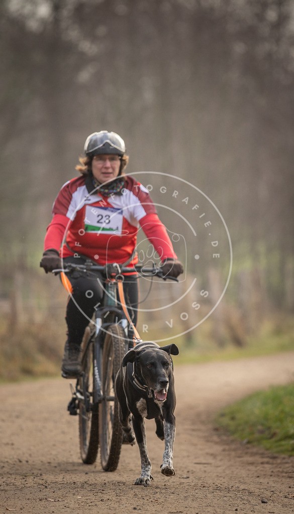 Pfotenfotografie_DV3A1985 | Hundefotografie, Tierfotograf, Pfotenfotografie, Fotoshooting Hund, Hunde Portrait, Hundesport, Hundeportraits, Heideshooting, Hunde, Sportfotograf, Hundefotograf, Turnierhundsport, THS,  - Realisiert mit Pictrs.com