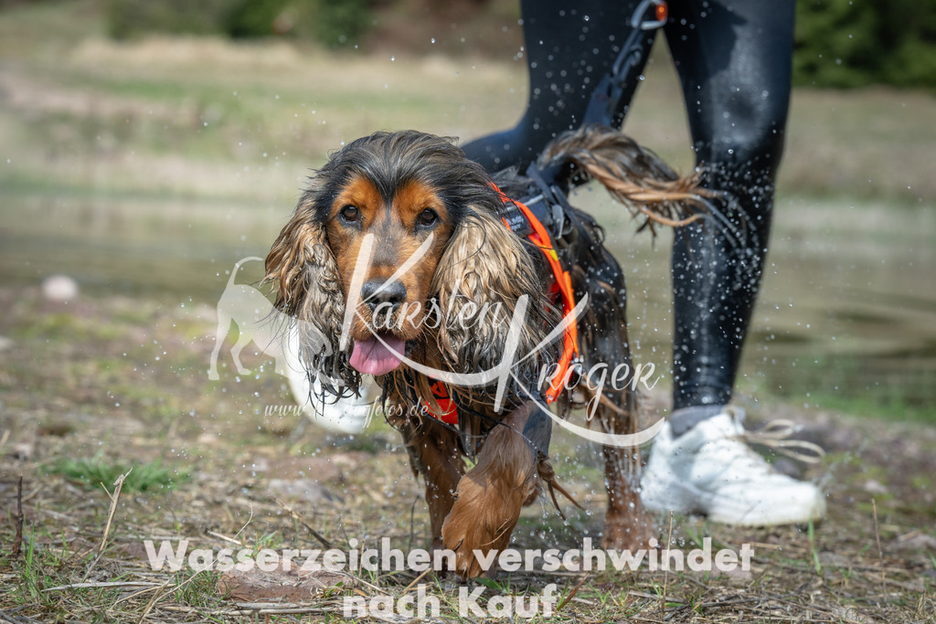 1106_ZZ93136 | kk-dogfotos