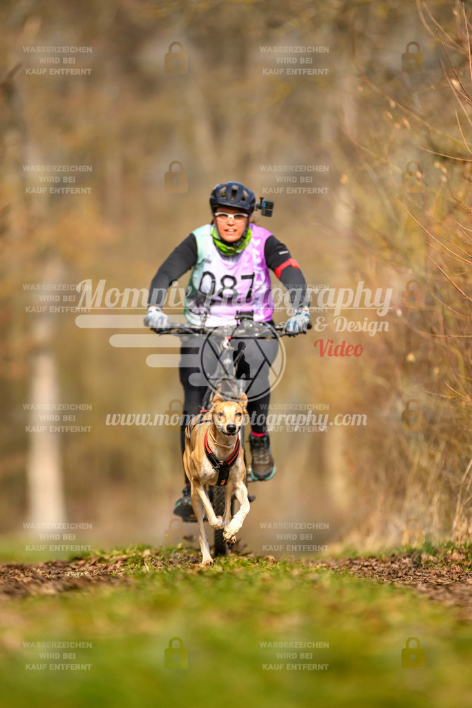 MompixPhotography_Schwabentrail2024_Bike-18 | PayLife