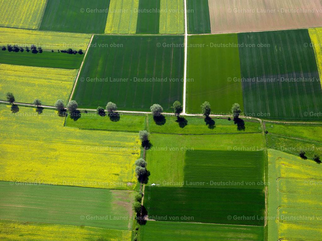 2904124 | Feld-Baumstrukturen bei Großwenkheim