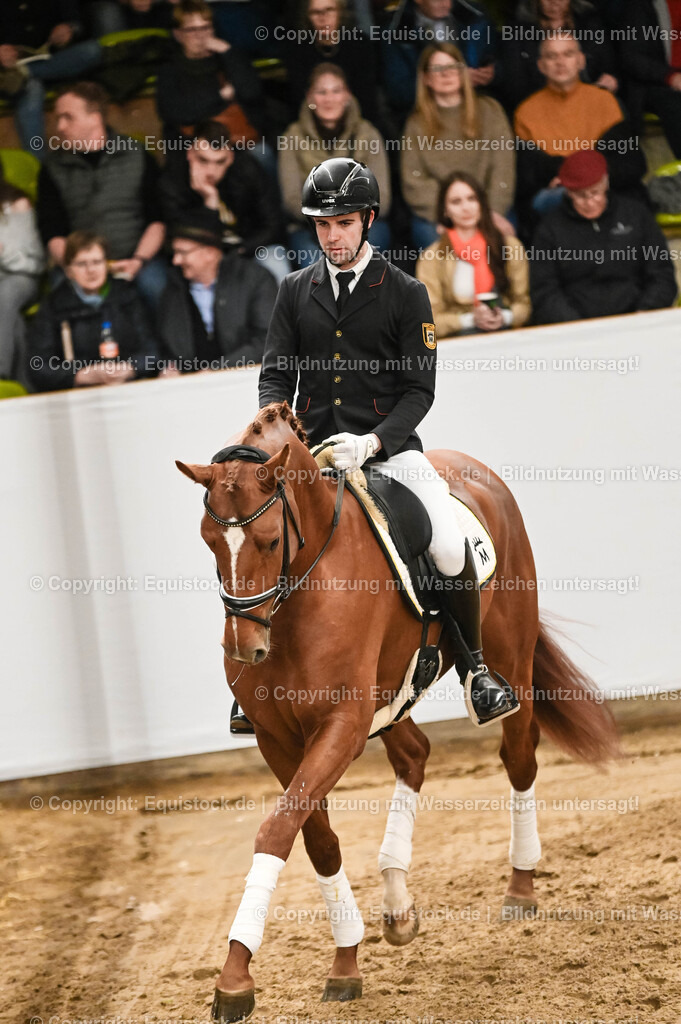 20260307_Hengstvorstellung-Marbach_0282 | equistock