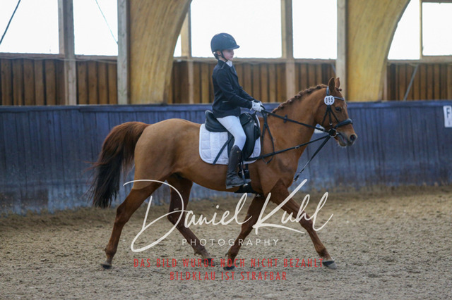 IMG_1126 | Turniersportfotografie; Pferdefotografie; Dressurfotografie