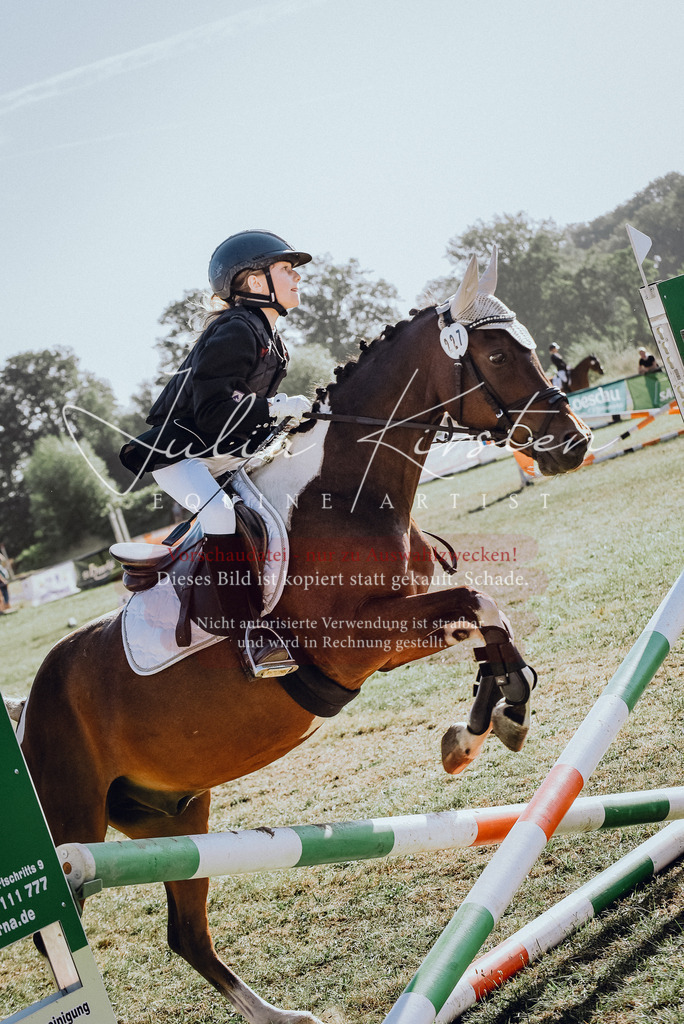 DSC_5596 | Pferde- und Turnierfotografie in Westsachsen. Pferdeportraits, Auftragszeichnungen und intuitive Kunst.