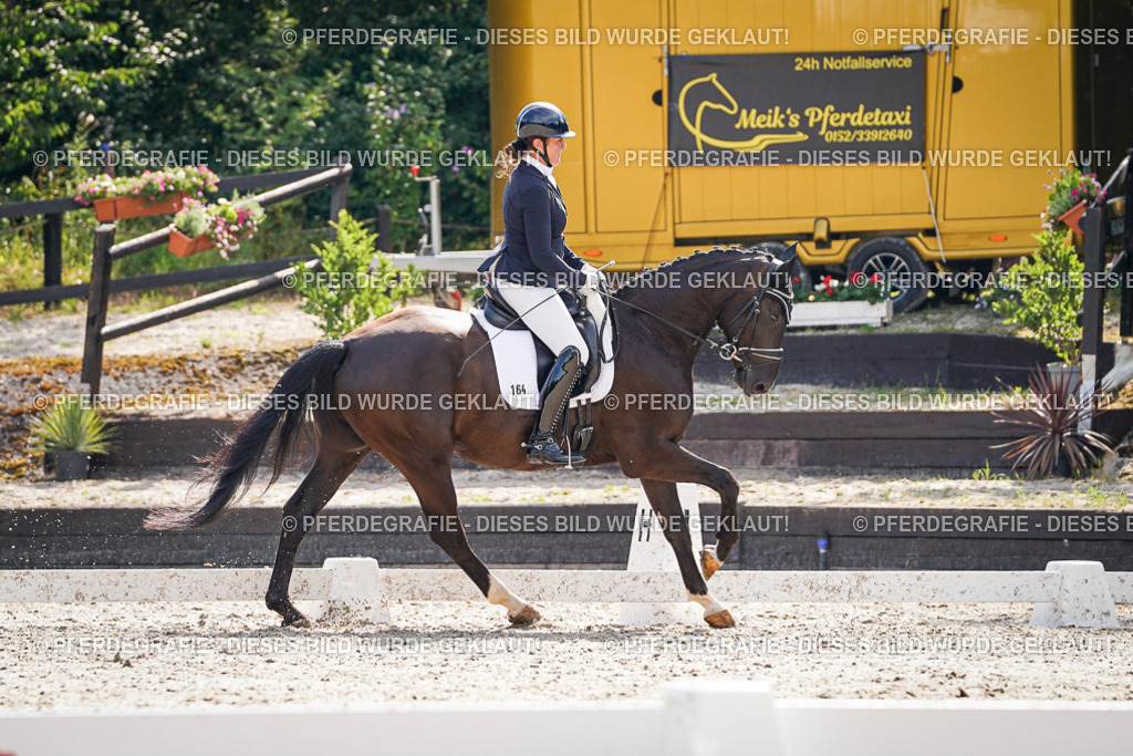 DSC07000 | Pferdegrafie