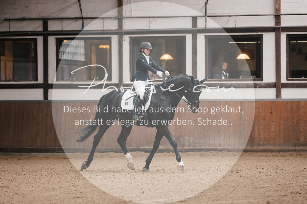 3I6A7097 | Stimmungsvolle Portraits und Reitsportfotografie im Ruhrgebiet und im Münsterland.

Pferdefotografie, Hundefotografie, Tierfotografie, Reportagen, Portraits von Tier und Mensch, Turnierfotografie in Bochum, Recklinghausen, Marl, Haltern am See, Dülmen.. - Realisiert mit Pictrs.com
