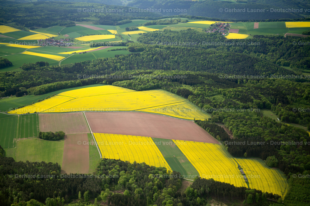 3500315 | Rapsfelder bei Neuenbuch