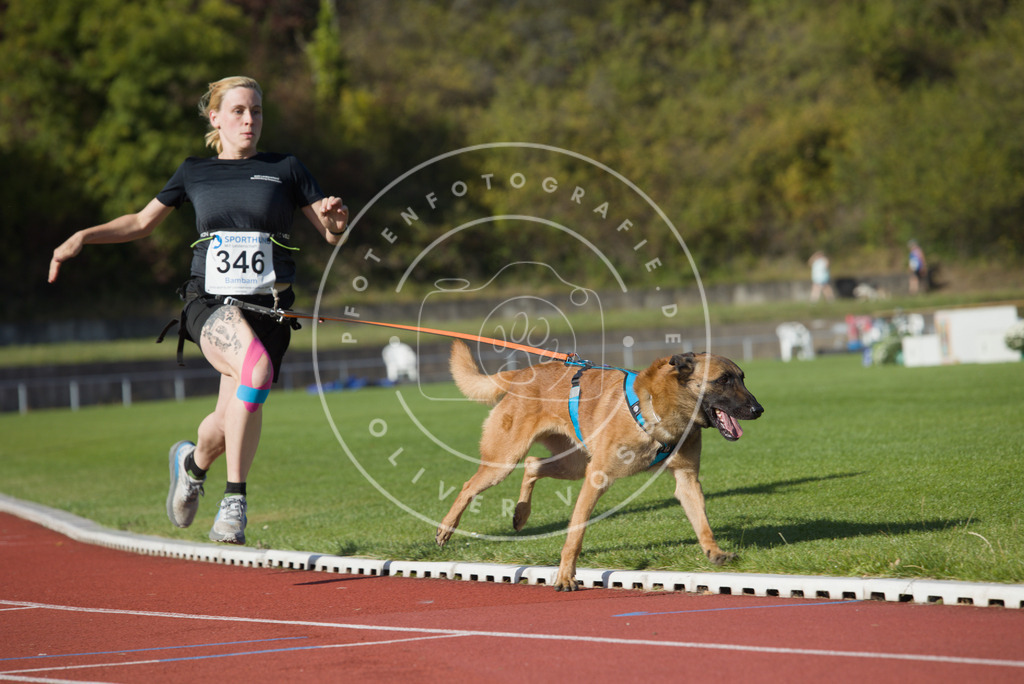 0L8A9311 | Hundefotografie, Tierfotograf, Pfotenfotografie, Fotoshooting Hund, Hunde Portrait, Hundesport, Hundeportraits, Heideshooting, Hunde, Sportfotograf, Hundefotograf, Turnierhundsport, THS,  - Realisiert mit Pictrs.com