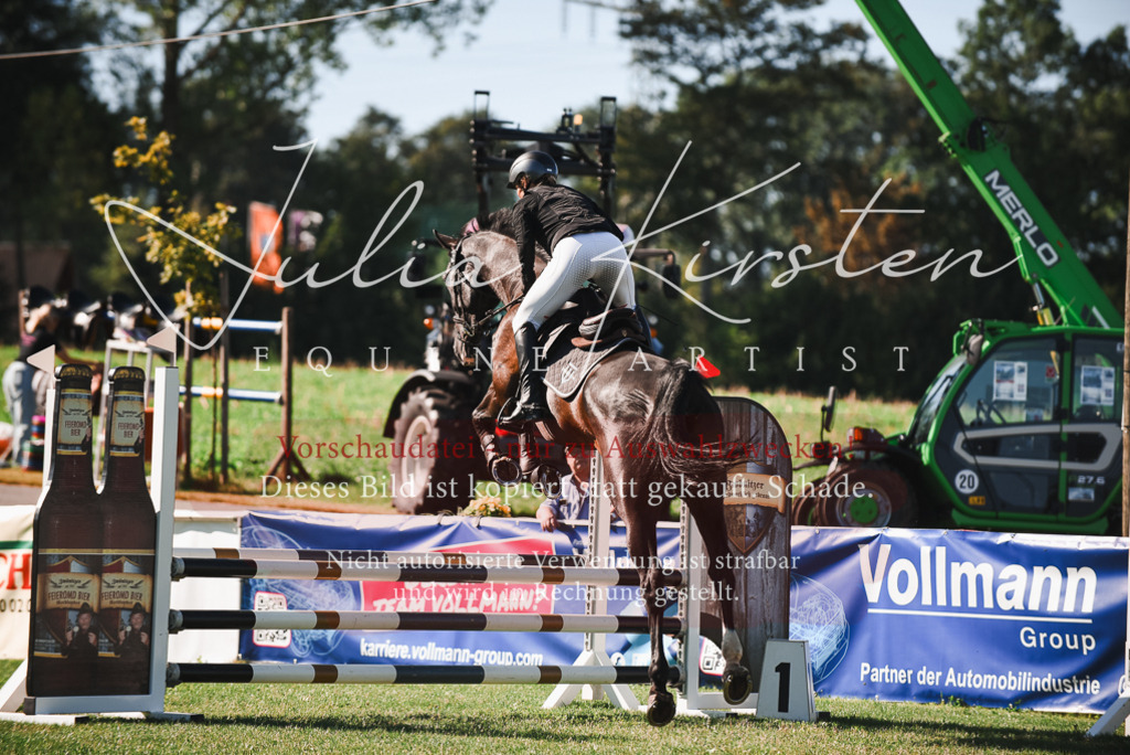 DSC_2347 | Pferde- und Turnierfotografie in Westsachsen. Pferdeportraits, Auftragszeichnungen und intuitive Kunst.