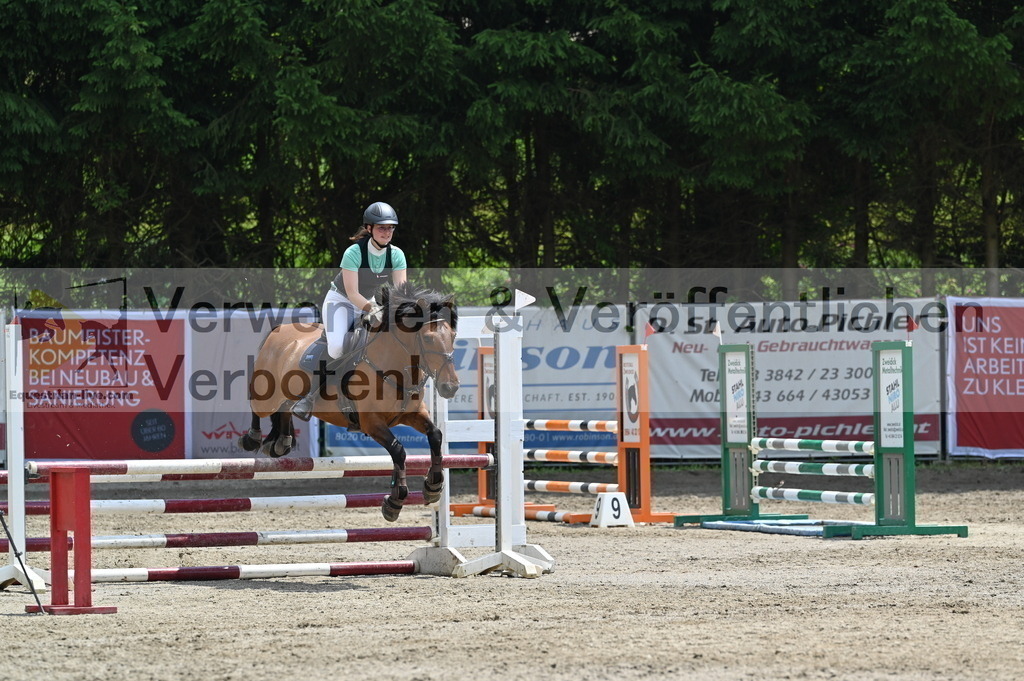 DSC_4538 | equestrian-live-com