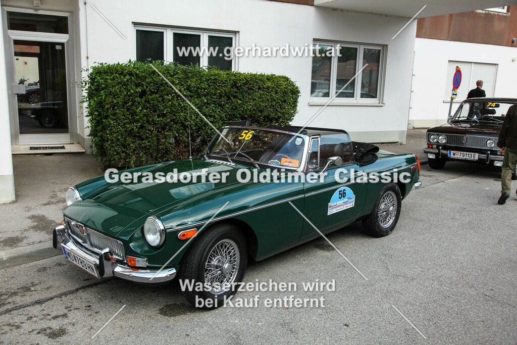 IMG_4460 | Gerhard Witt