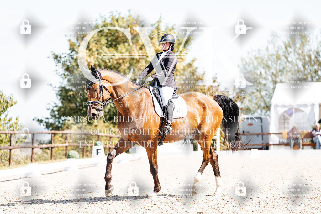 CK903167 | Turnierfotografie Pferdefotografie Trier Rheinland-Pfalz Pferdesport Reitsport Tierfotografie Sportfotografie Pferdevideo Pferdevideografie Equestrianvideography equestrianphotography  - Realisiert mit Pictrs.com