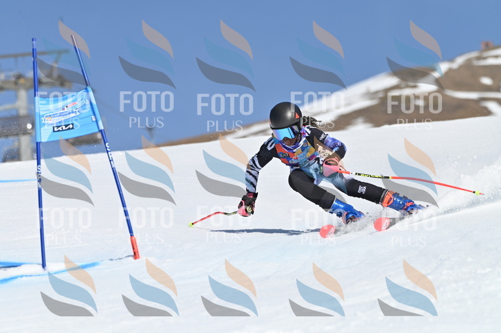 BGV_8606 | holidayphoto