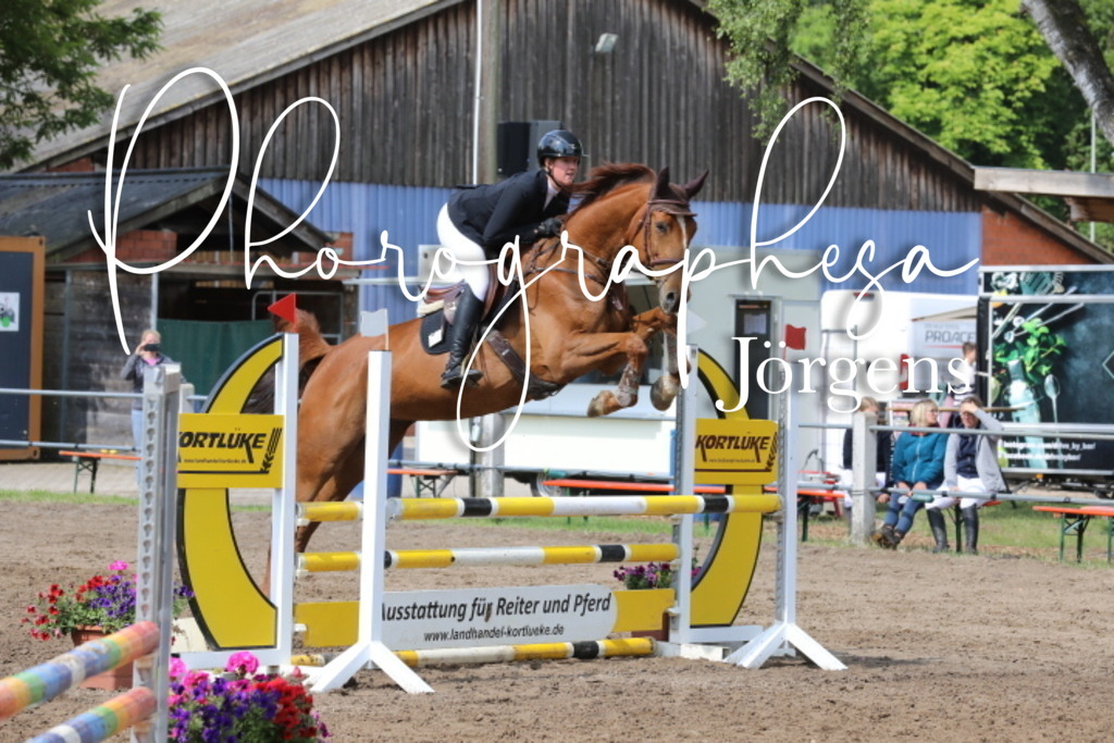 IMG_3109 | photographesa-joergens - Realisiert mit Pictrs.com