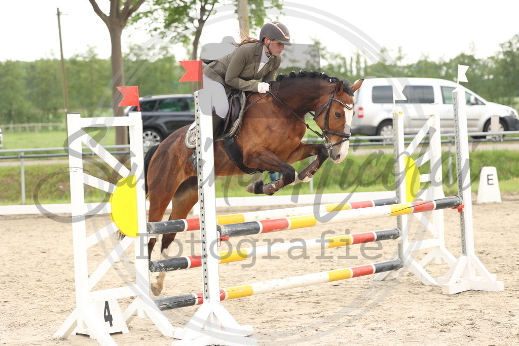 994A7919 | sabrinanicolaifotografie - Realisiert mit Pictrs.com