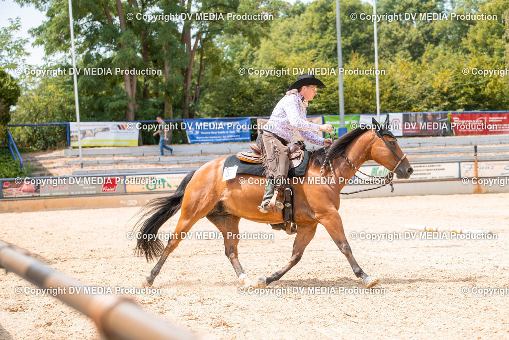 EWP_6419 | dv-media-shop - Realisiert mit Pictrs.com