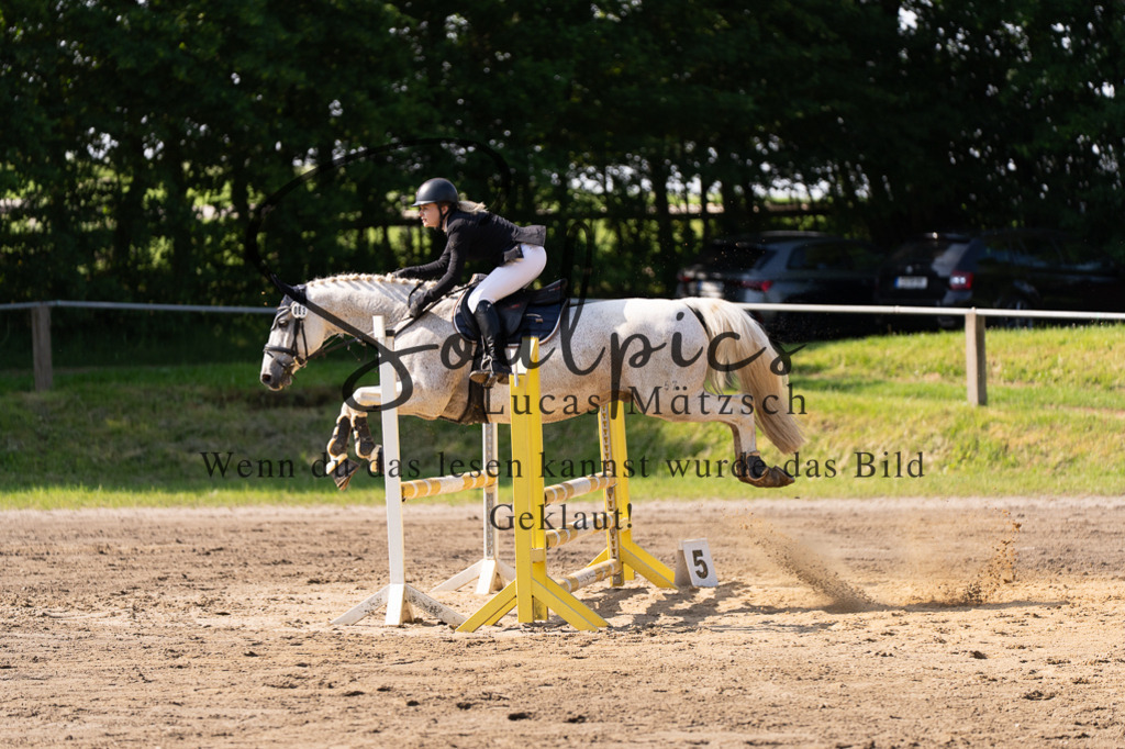 A7507303 | Turnier/Reitfotograf