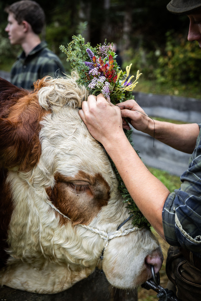 Rupertifest_Flachau_2k25_Webauflösung-104 | Bildershop Chri Fischbacher - Realisiert mit Pictrs.com