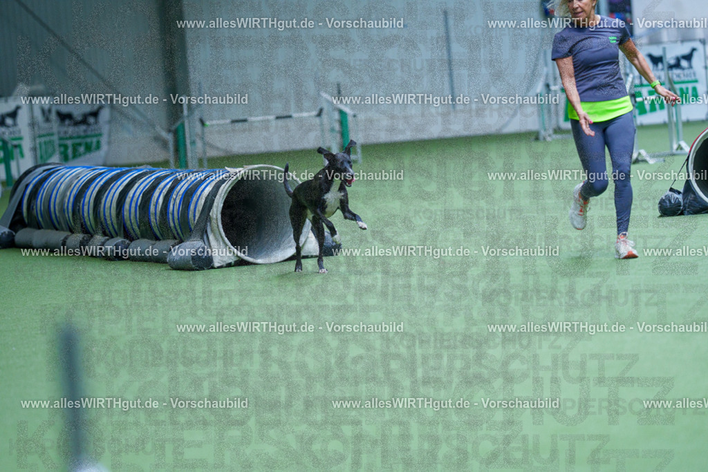 @allesWIRTHgut_Tierfotografie - www.allesWIRTHgut.de - 2604251347-7R504038 | Professionelle Tierfotografie in Mönchengladbach von Daniel Wirth (allesWIRTHgut). Liebevolle & natürliche Bilder von Hunden & Katzen für unvergessliche Erinnerungen.