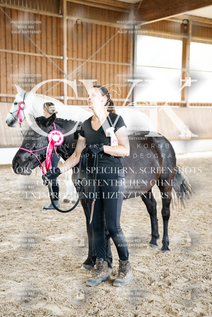 CK703253 | Turnierfotografie Pferdefotografie Trier Rheinland-Pfalz Pferdesport Reitsport Tierfotografie Sportfotografie Pferdevideo Pferdevideografie Equestrianvideography equestrianphotography  - Realized with Pictrs.com