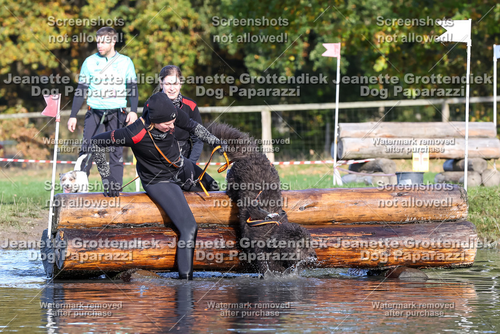 Dog Paparazzi - Strongdog 10-25-8618 | Dog Paparazzi Jeanette Grottendiek Fotografie & Videografie - Realisiert mit Pictrs.com